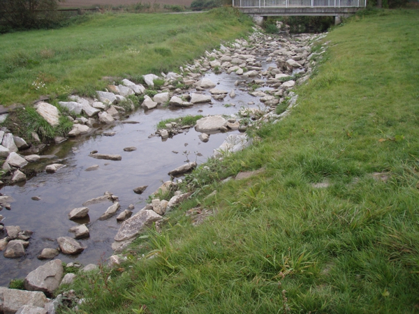 Flutmulde