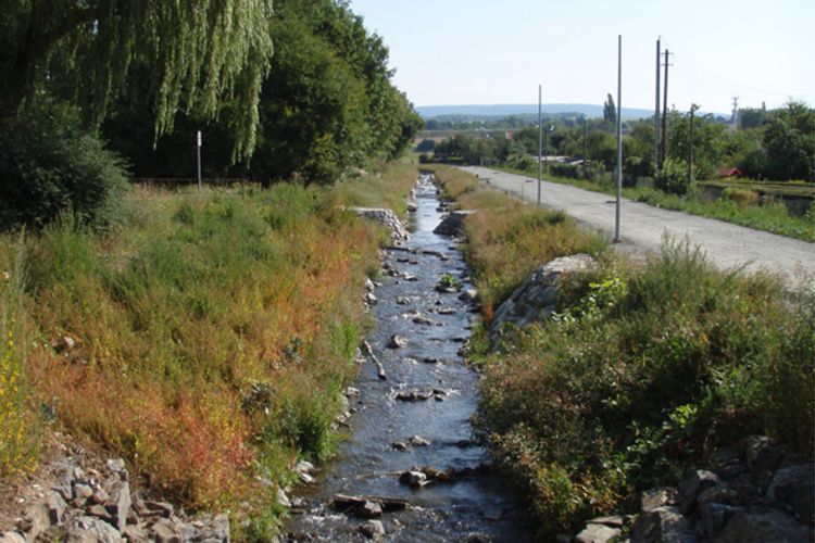 Der verlängerte Einlauf zum Mühlkanal verläuft zwischen dem Roten Main und einer Kleingartenanlage Der verlängerte Einlauf zum Mühlkanal verläuft zwischen dem Roten Main und einer Kleingartenanlage