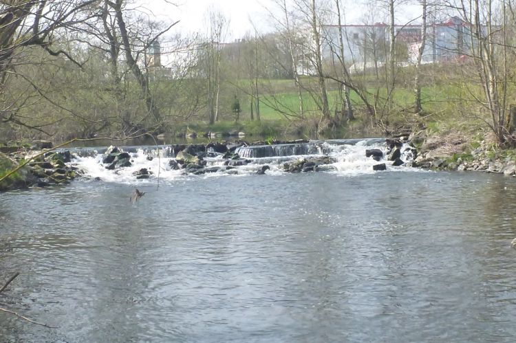 Wehr der Haarbaur´schen Mühle vor Beginn der Baumaßnahmen Wehr der Haarbaur´schen Mühle vor Beginn der Baumaßnahmen