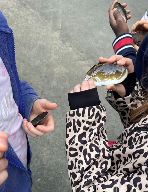 Link zur Seite Schutz der Flussperlmuschel