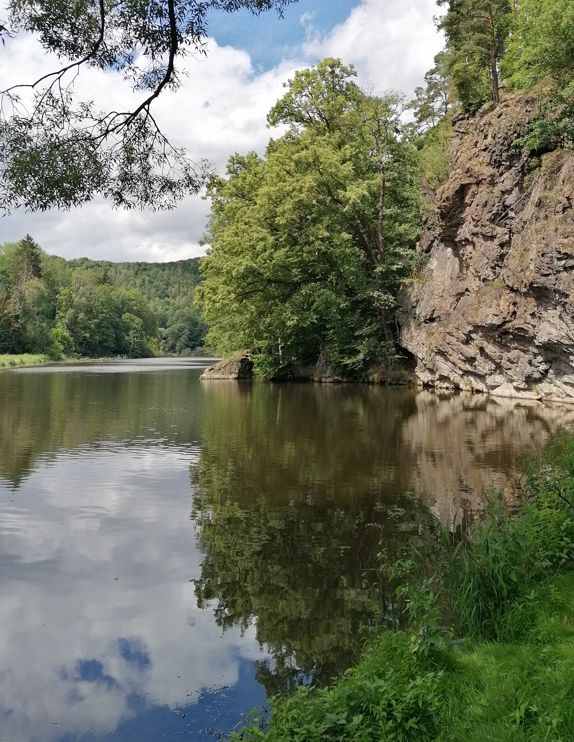 Link zur Seite Saale barrierefrei