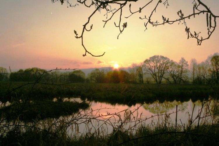 Abend an der Röslau